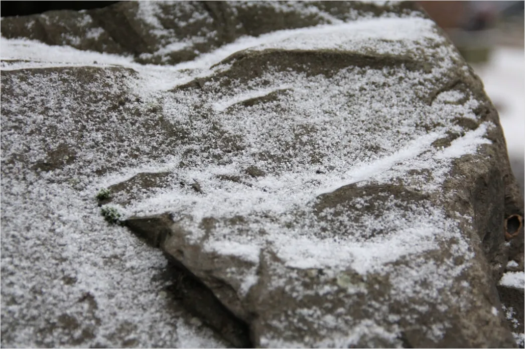 Detail Magnesium Block Chalk Staub Foto Number 14