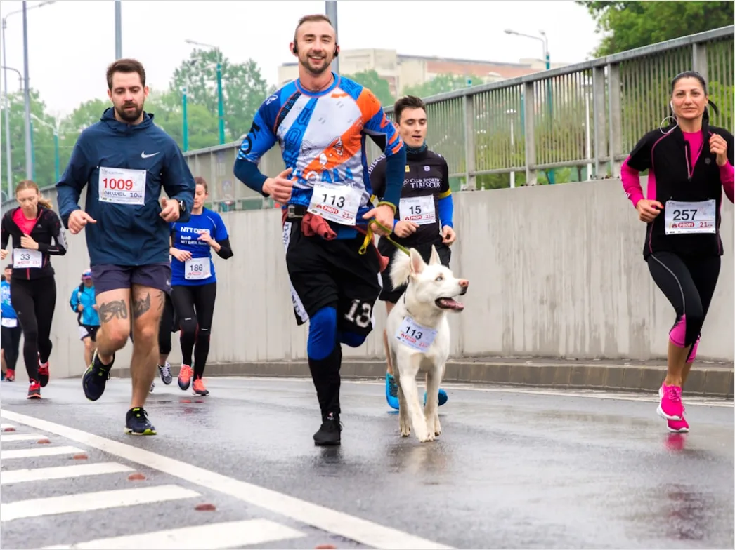 Detail Marathon Ziel Einlauf Foto Jubel Number 10