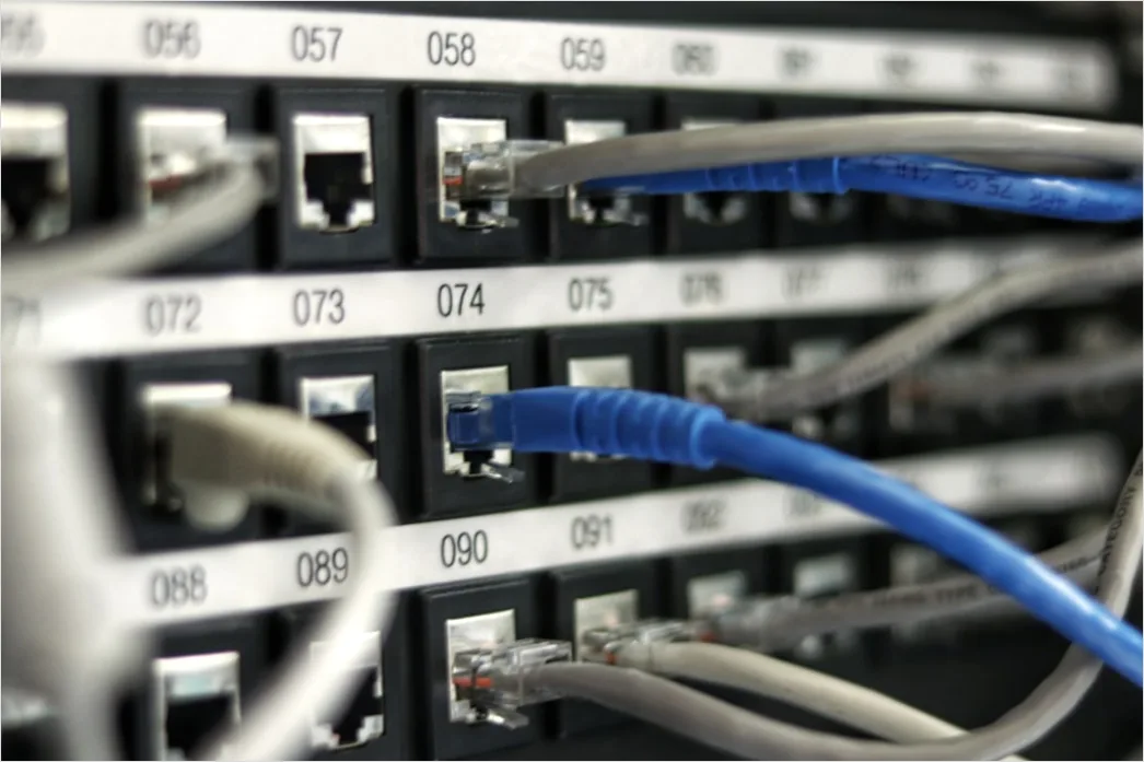 Netzwerk Switch Kabel Patchpanel Nahaufnahme Foto