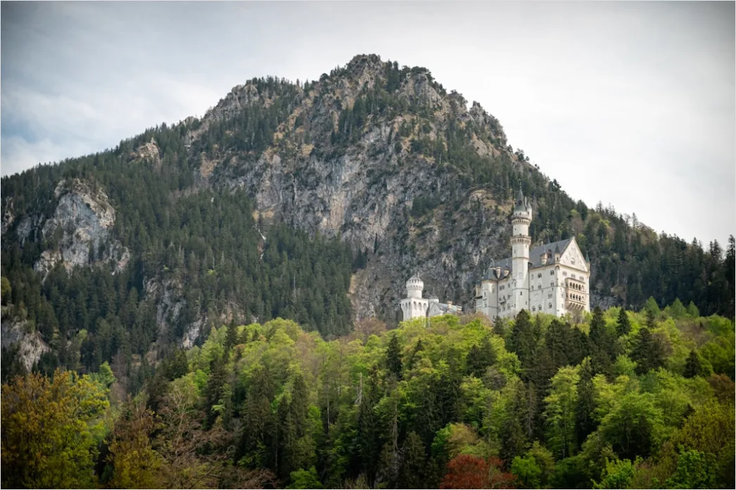 Detail Neuschwanstein Schloss Panorama Bayern Märchenhaft Number 3