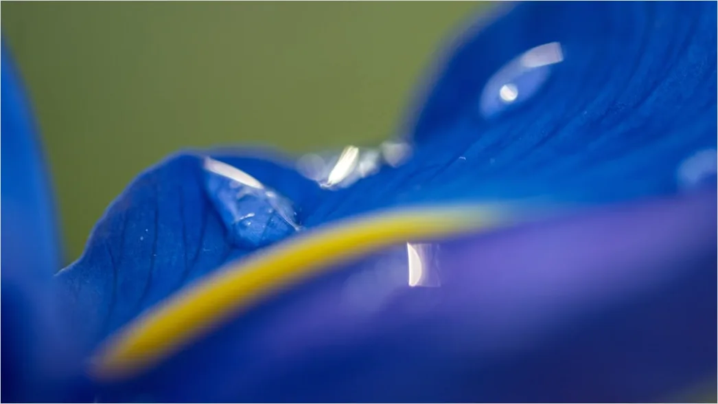 Detail Parfüm Flakon Makro Nahaufnahme Glas Number 17