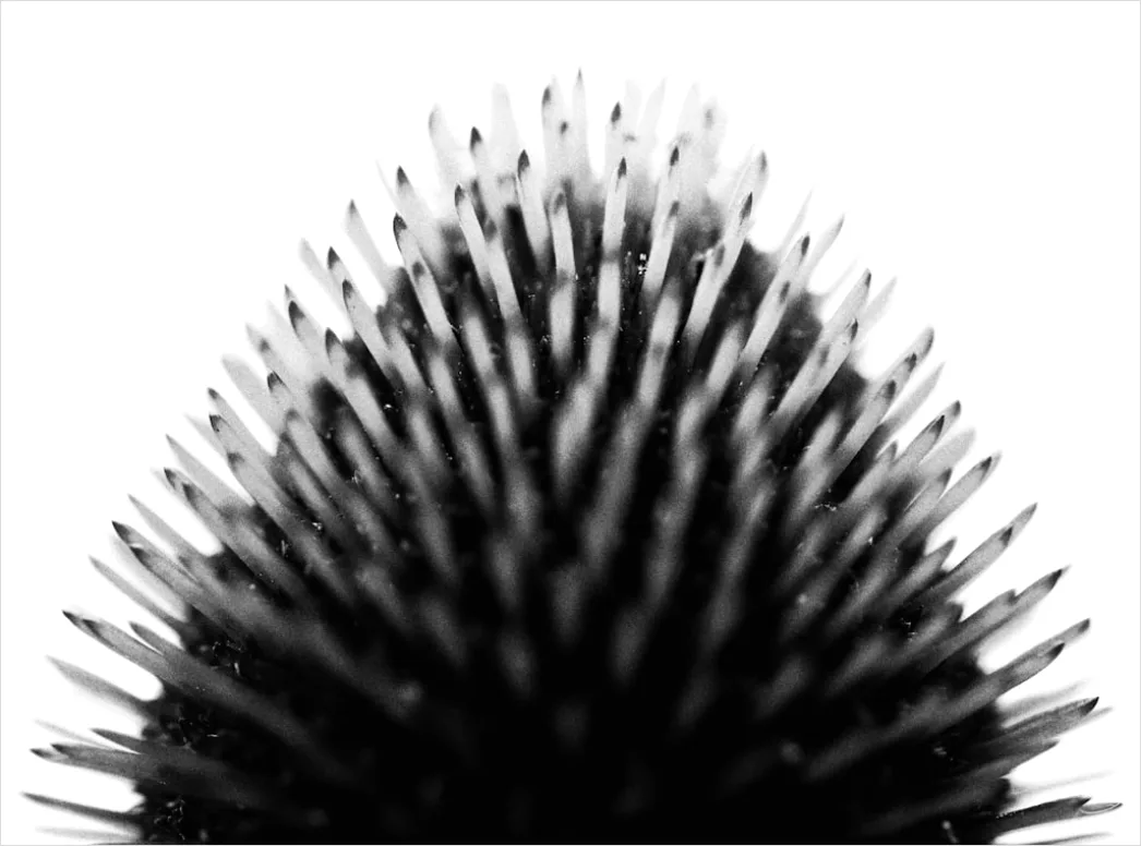 Detail Pinsel Borsten Makro Nahaufnahme Number 17