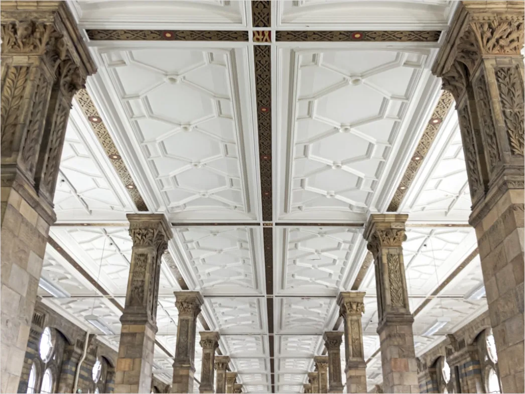 Saeulenhalle Innenraum Klassisch Symmetrie Perspektive A983