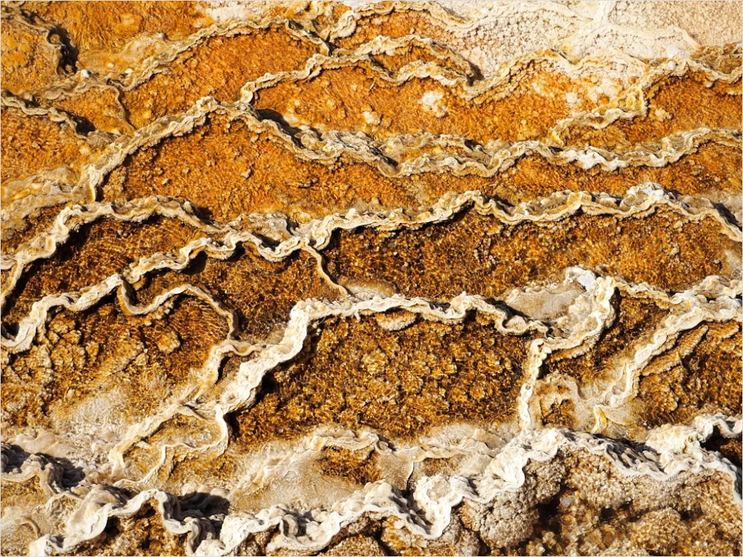 Detail Sandstein Struktur Makro Nahaufnahme Number 18