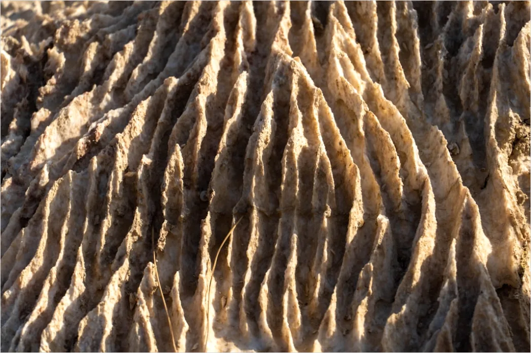 Detail Sandstein Struktur Makro Nahaufnahme Number 19