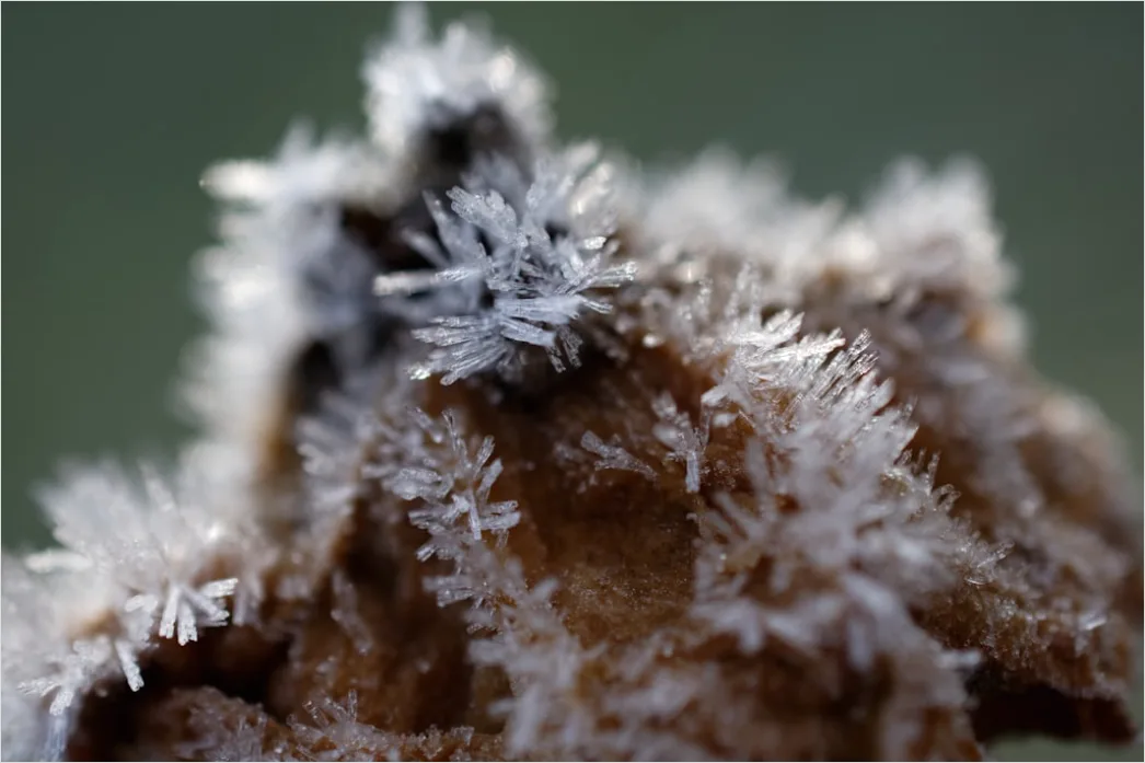 Schneekristalle Makro Nahaufnahme Detail 9607
