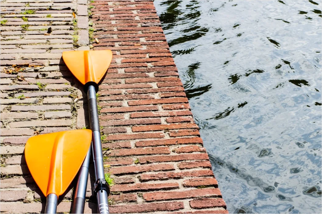 Detail Schwimmflossen Paddles Equipment Foto Number 2