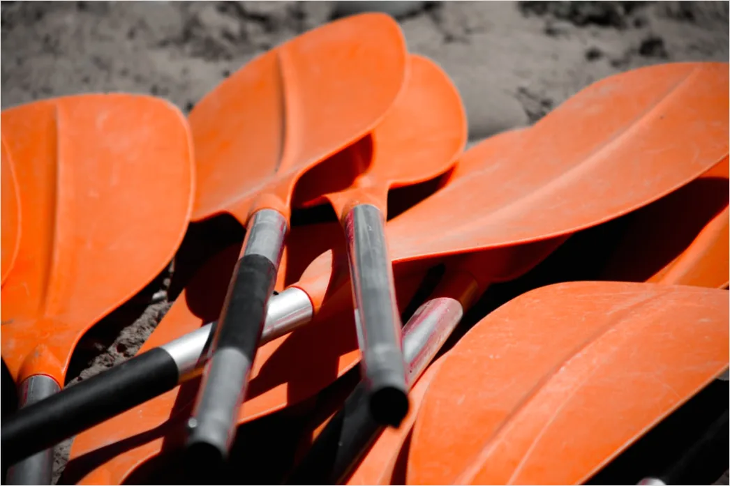 Detail Schwimmflossen Paddles Equipment Foto Number 3