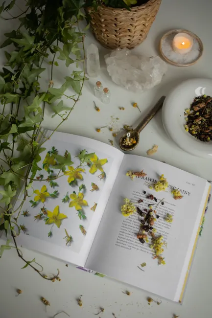 Detail Selbstfürsorge Tee Kerze Buch Flat Lay Number 15