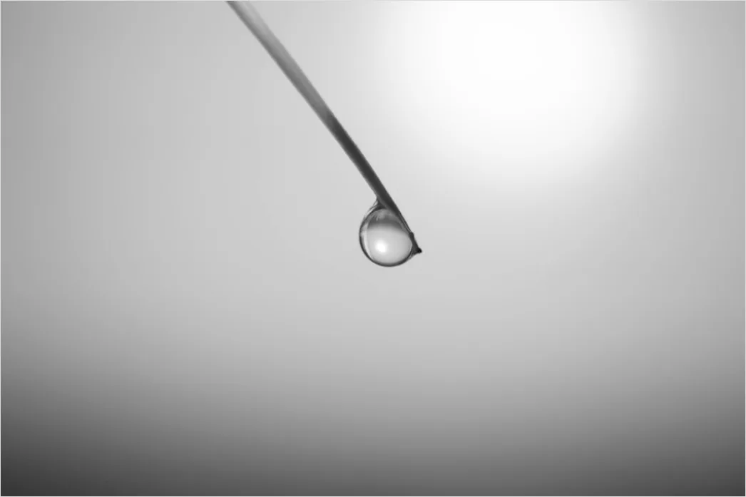 Detail Serum Pipette Tropfen Makro Nahaufnahme Number 8