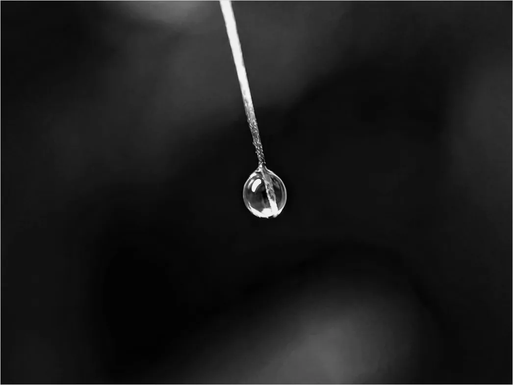 Detail Serum Pipette Tropfen Makro Nahaufnahme Number 10