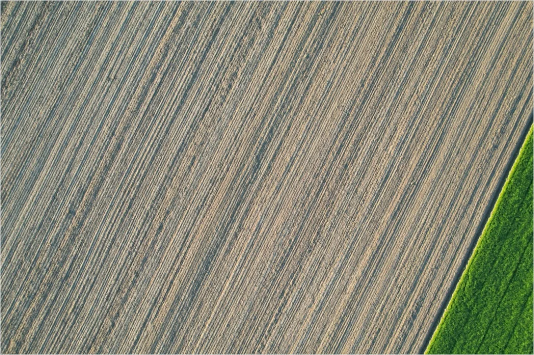 Detail Springseil Auf Holzboden Flat Lay Foto Number 14