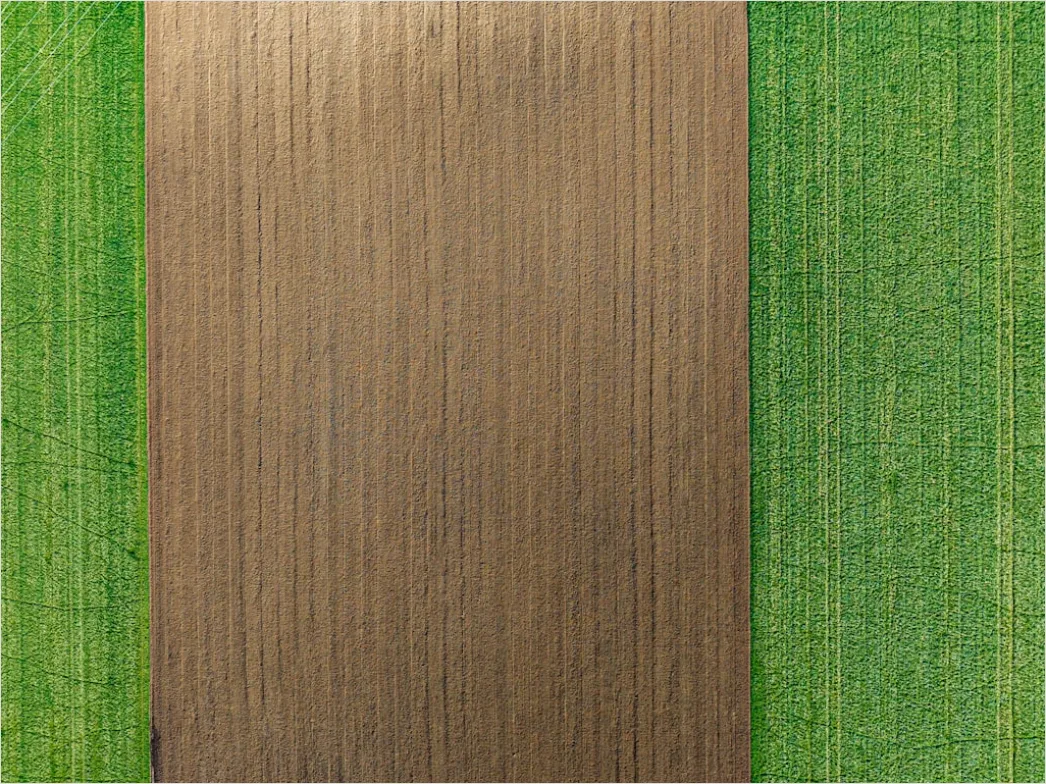 Detail Springseil Auf Holzboden Flat Lay Foto Number 18