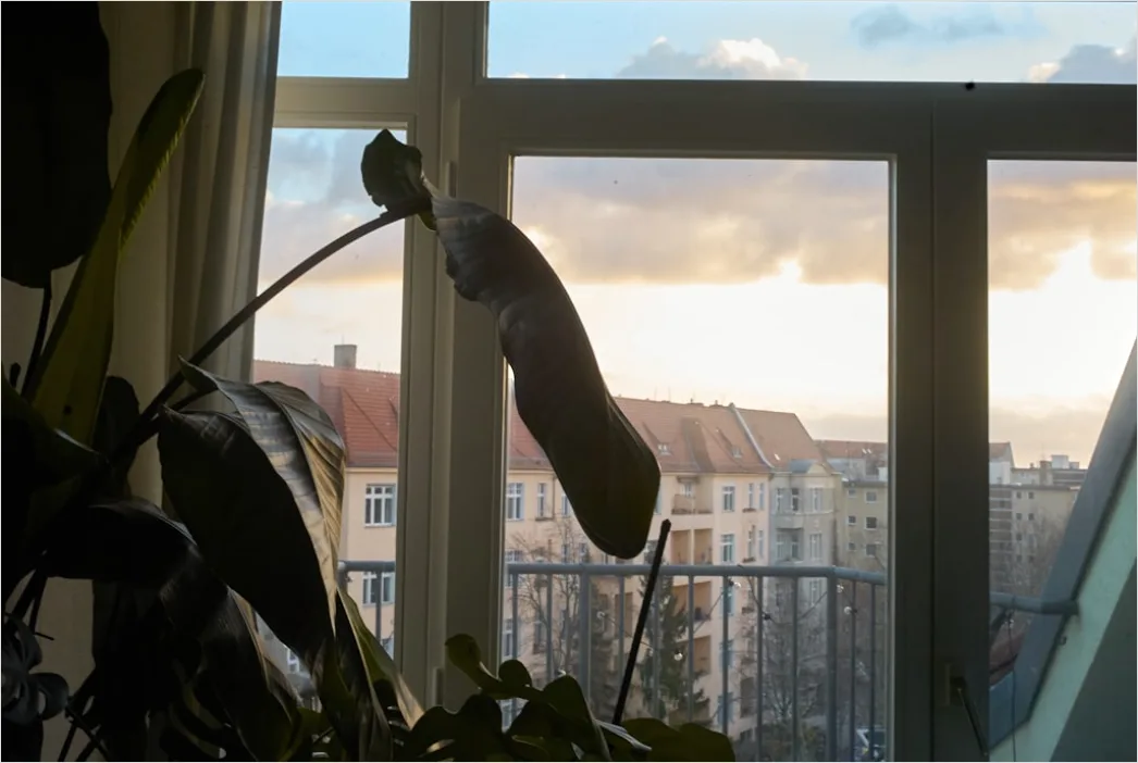 Detail Stadtvilla Modern Große Fenster Abendlicht Number 2