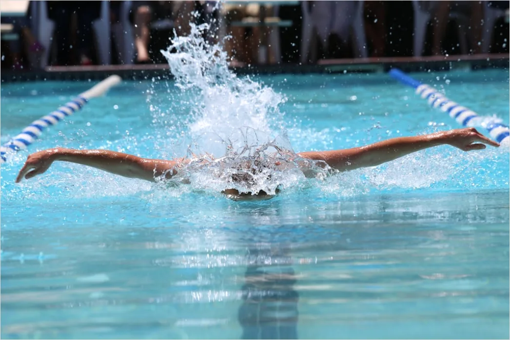 Startsprung Schwimmen Foto Action 480c