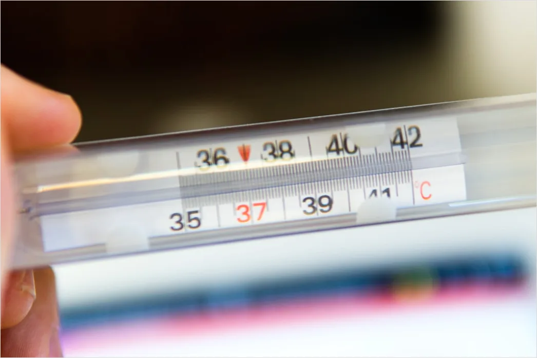 Temperatur Messen Digitales Thermometer Nahaufnahme F76e