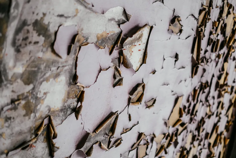 Detail Verlassene Kaserne Korridor Peeling Paint Number 10