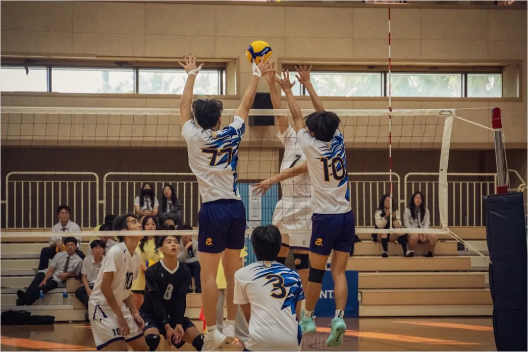 Detail Volleyball Block Am Netz Foto Number 3