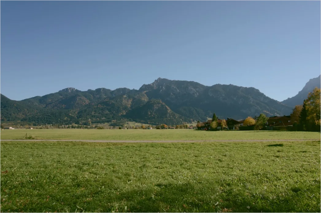 Allgaeu Almwiese Mit Blumen Sommeridylle 869f