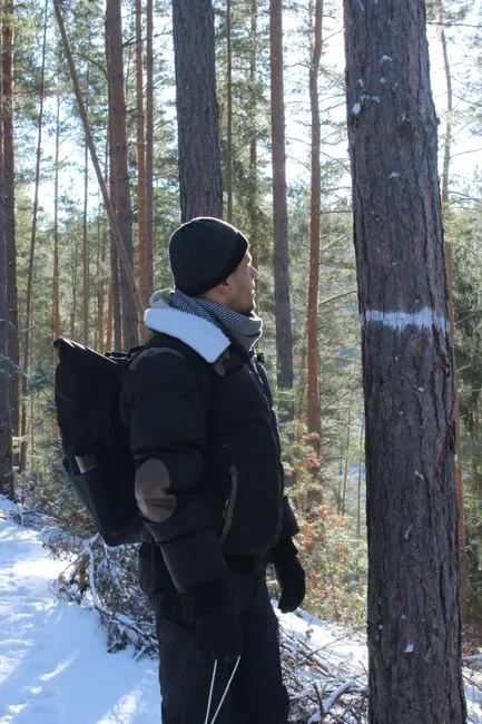 Baer Im Wald Wildlife Beobachtung C4a8