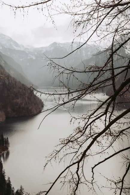 Detail Berchtesgadener Land Königssee Spiegelglatt Morgens Number 13