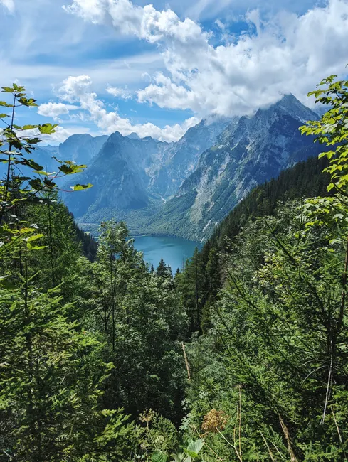 Detail Berchtesgadener Land Königssee Spiegelglatt Morgens Number 19