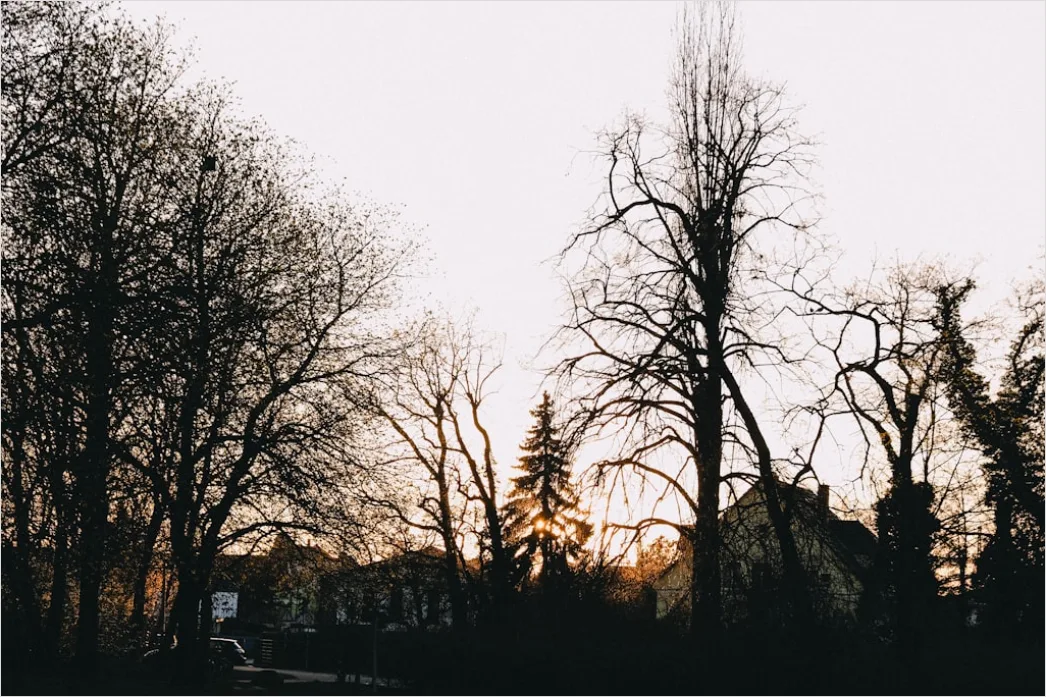 Dachzelt Auf Auto In Natur Bei Sonnenuntergang Aaa5