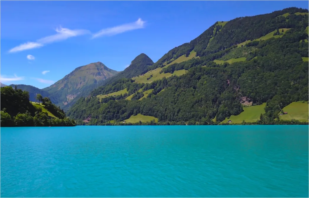 Detail Eibsee Türkis Wasser Mit Bergkulisse Sommer Number 13