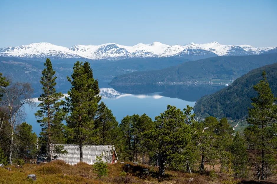 Detail Fjordlandschaft Norwegen Straße Am Wasser Panorama Number 7