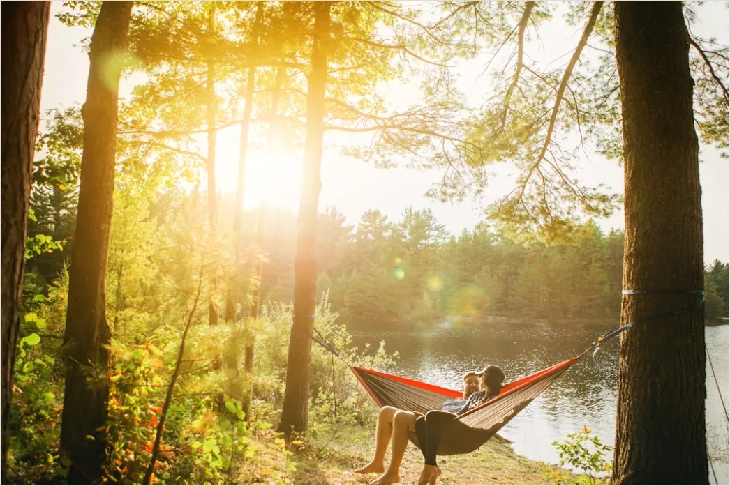 Hammock Zwischen Baeumen Entspannen Outdoor 735d