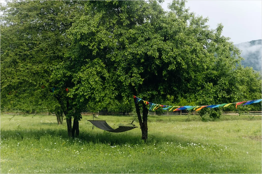 Detail Hammock Zwischen Bäumen Entspannen Outdoor Number 2