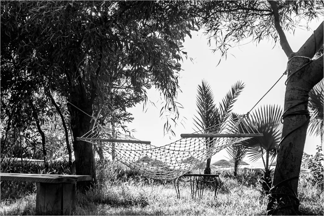 Detail Hammock Zwischen Bäumen Entspannen Outdoor Number 14