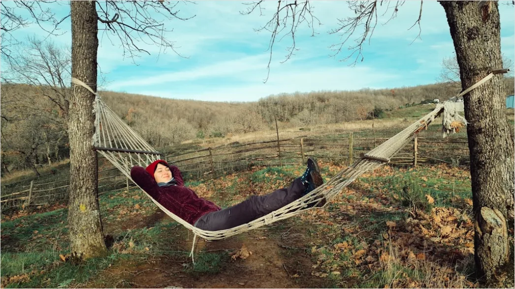 Detail Hammock Zwischen Bäumen Entspannen Outdoor Number 16