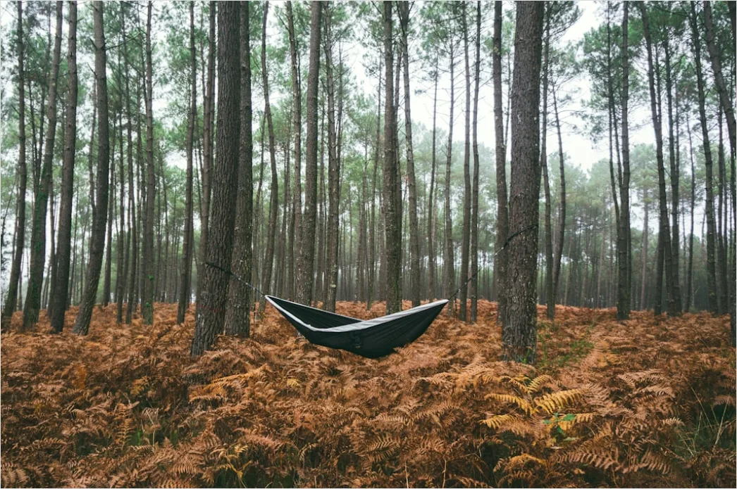 Detail Hammock Zwischen Bäumen Entspannen Outdoor Number 17
