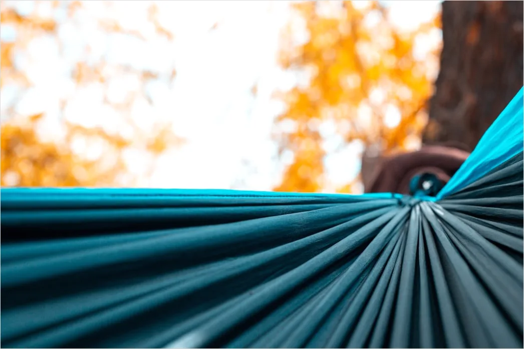 Detail Hammock Zwischen Bäumen Entspannen Outdoor Number 3
