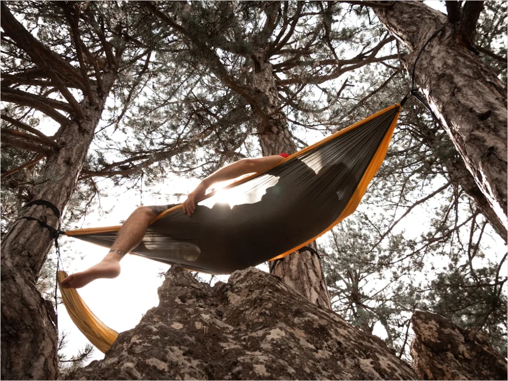 Detail Hammock Zwischen Bäumen Entspannen Outdoor Number 5