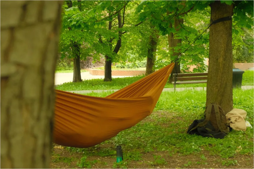 Detail Hammock Zwischen Bäumen Entspannen Outdoor Number 7