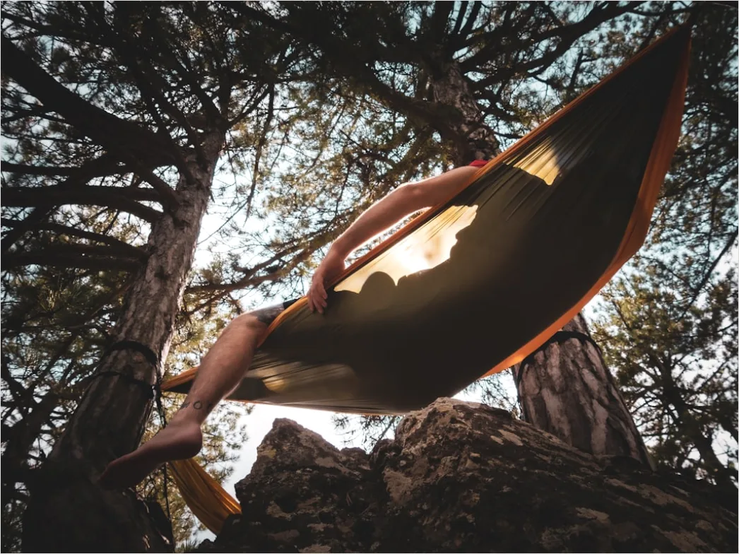 Detail Hammock Zwischen Bäumen Entspannen Outdoor Number 8