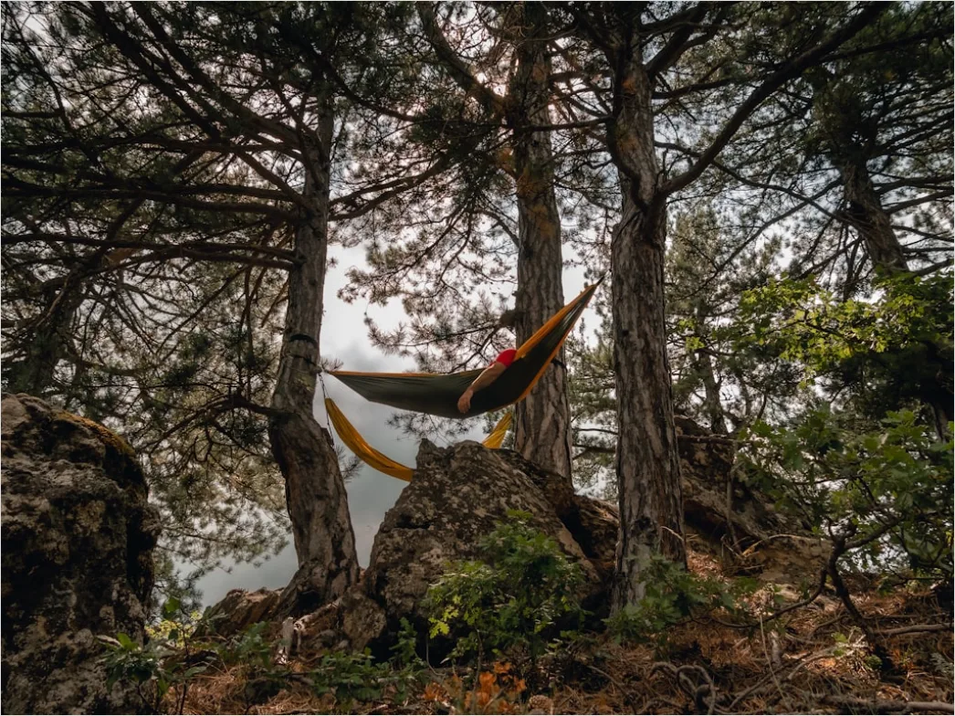 Detail Hammock Zwischen Bäumen Entspannen Outdoor Number 10