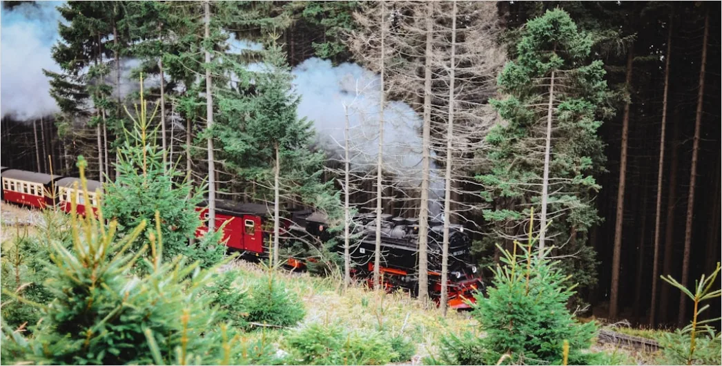 Harz Nationalpark Brocken Nebel Mystisch 1766