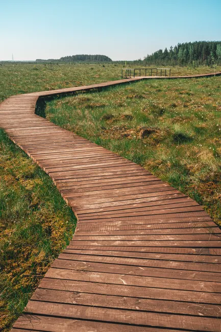 Detail Holzsteg Durch Moorlandschaft Wanderroute Number 10