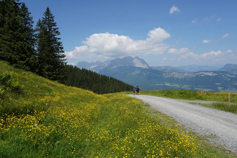Detail Hüttentour Alpenweg Mit Blumenwiese Number 2
