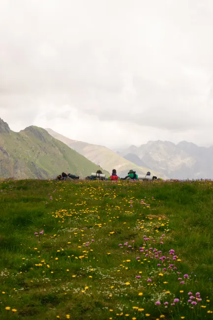 Detail Hüttentour Alpenweg Mit Blumenwiese Number 12
