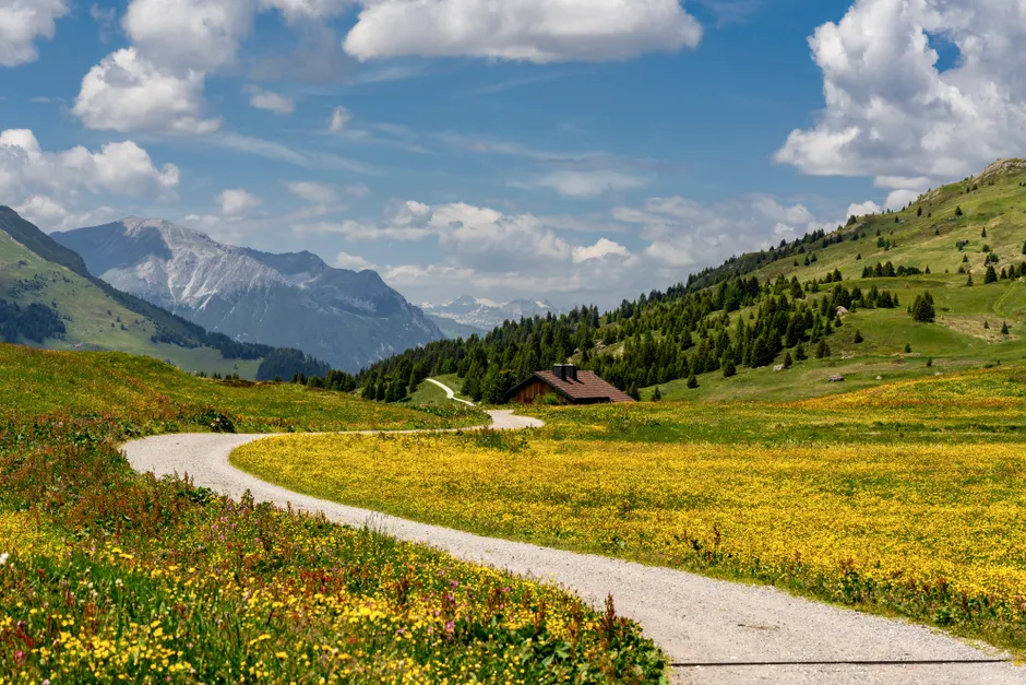 Detail Hüttentour Alpenweg Mit Blumenwiese Number 15