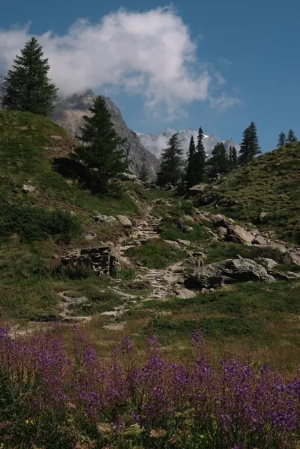 Detail Hüttentour Alpenweg Mit Blumenwiese Number 19