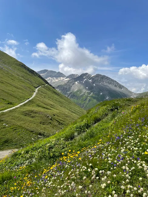 Detail Hüttentour Alpenweg Mit Blumenwiese Number 5