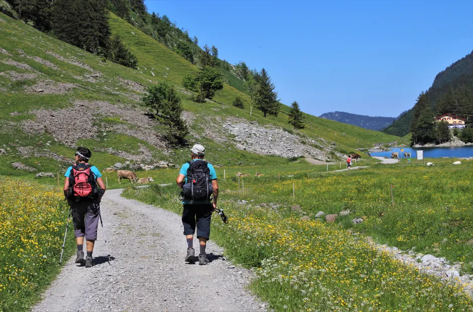 Detail Hüttentour Alpenweg Mit Blumenwiese Number 10