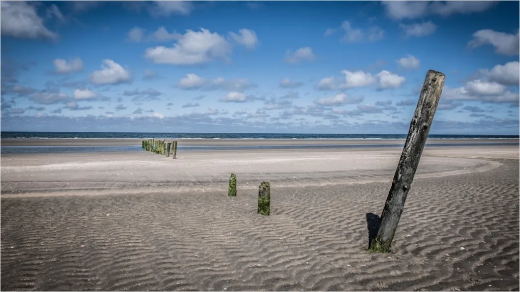 Detail Kitesurfen An Der Nordsee Action Im Wind Number 12