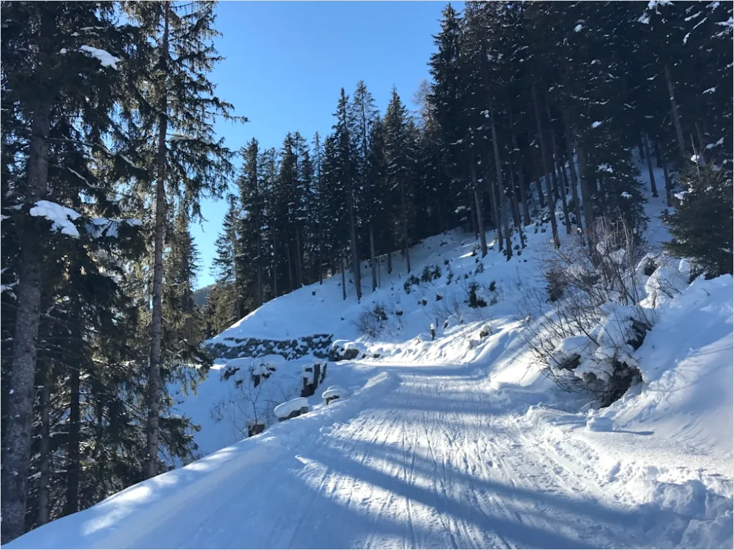 Detail Langlaufen Im Winterwald Spur Im Schnee Number 11