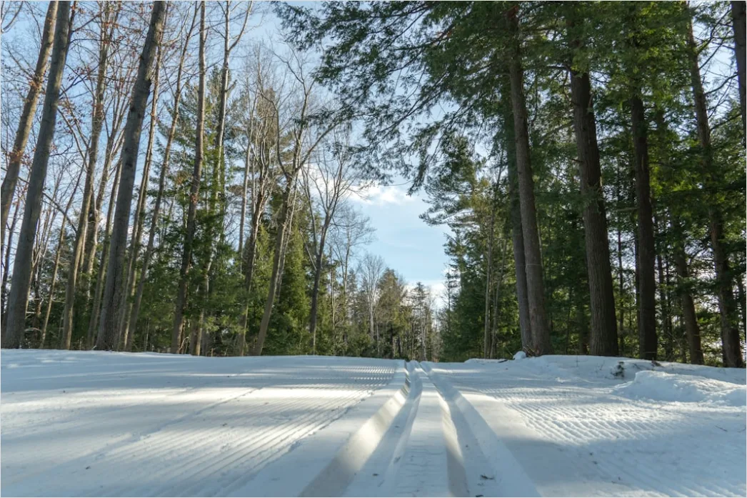 Detail Langlaufen Im Winterwald Spur Im Schnee Number 13